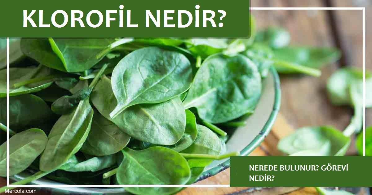 Vegaferon İshal Yapar mı? Tozlu Mikrofon