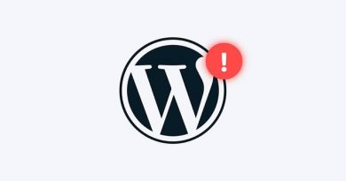 wordpress hata kodları