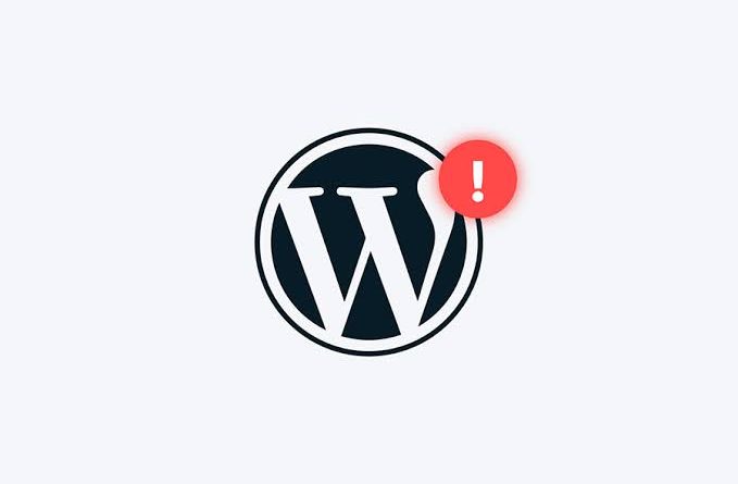 wordpress hata kodları