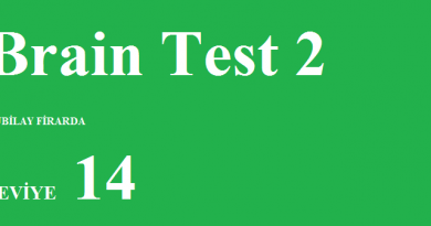 Brain Test Seviye 198 Hepsinin Biraz Isınmaya İhtiyacı Var Cevapları