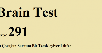 Brain test 291