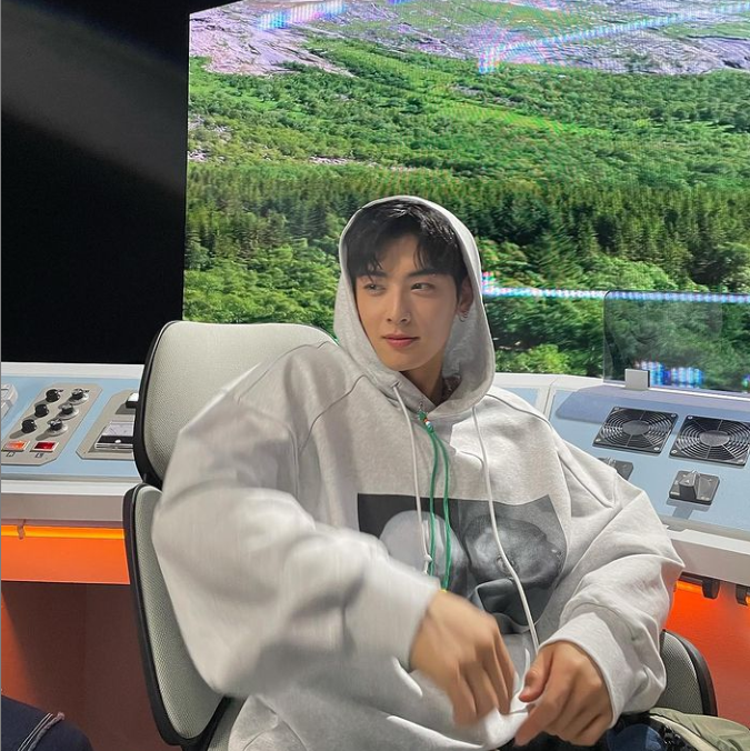 Cha Eun Woo Kimdir