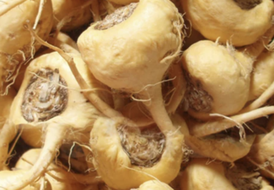 Lepidyum-Maca Menopoz Dönemine İyi Gelir mi?