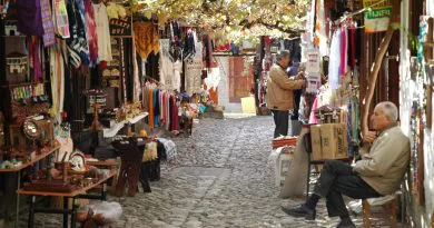kacan balik buyuk olur ne demek tozlu mikrofon