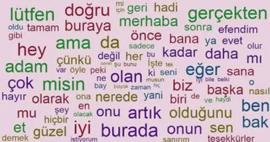 balik kavaga cikinca ne demek