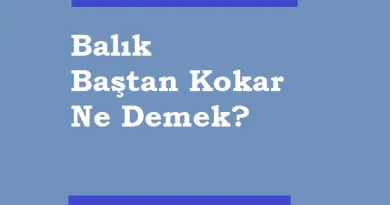 balik kavaga cikinca ne demek