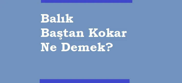 balik bastan kokar ne demek tozlu mikrofon