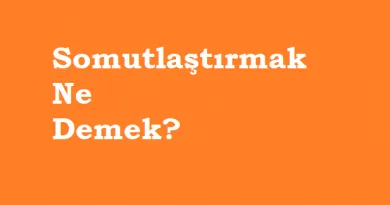 tamahkar nedir ne demek tozlu mikrofon