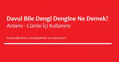 dokuz dogurmak ne demek hikayesi ve anlami nedir tozlu mikrofon