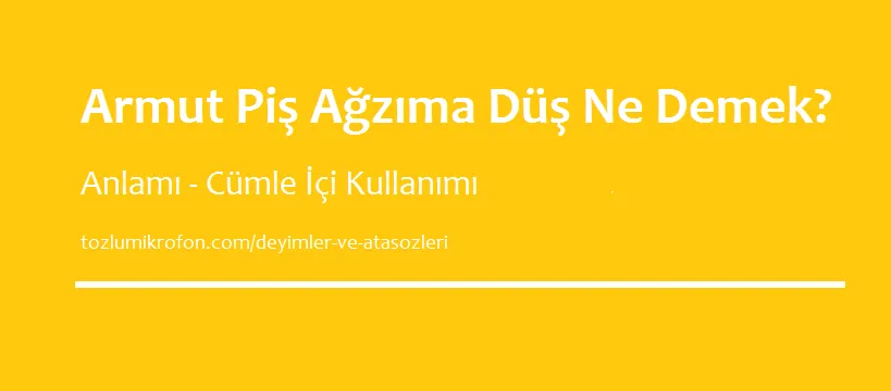 ajsl8sdg4mpcqm