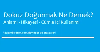 havanda su dovmek ne demek tozlu mikrofon