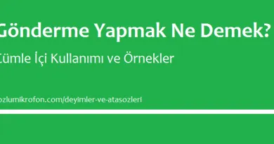 balik bastan kokar ne demek tozlu mikrofon