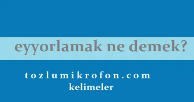 Aktif Proaktif Reaktif Ve Retroaktif Ne Demek Tozlu Mikrofon