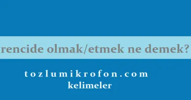 tamahkar nedir ne demek tozlu mikrofon