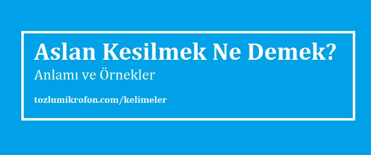 aslan kesilmek ne demek tozlu mikrofon