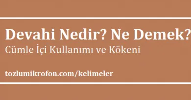 tamahkar olmak ne demek serdar sandal