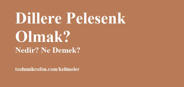 dillere pelesenk olmak nedir ne demek cumle ici kullanimi tozlu mikrofon