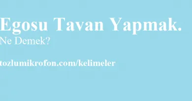 havanda su dovmek ne demek tozlu mikrofon
