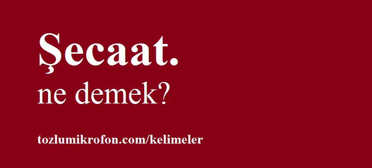 secaat nedir ne demek cumle ici kullanimi ve kokeni tozlu mikrofon