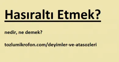 balik bastan kokar ne demek tozlu mikrofon